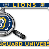 Lions License Plate Frame | Navy/Yellow